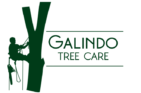 GALINDO TREE CARE